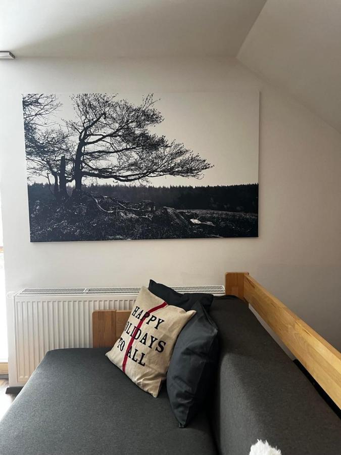 Kilian - Prenet Appartement Kvilda